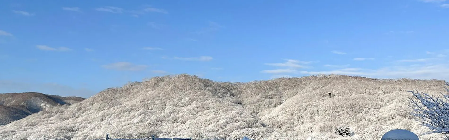 うらかわ優駿ビレッジAERU