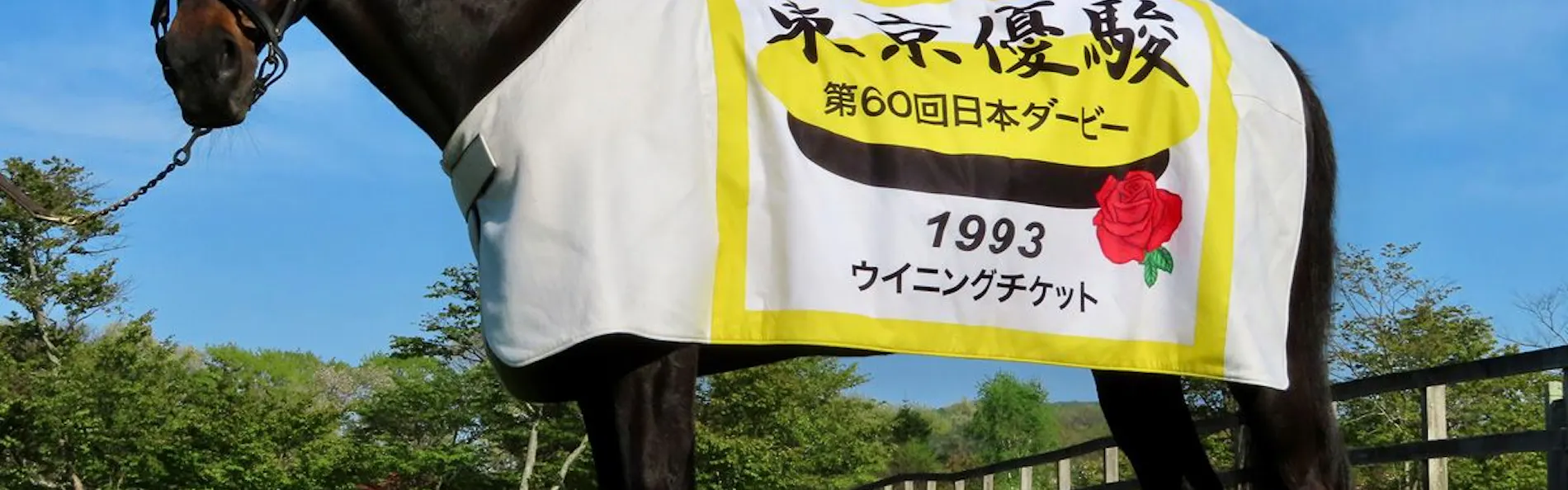うらかわ優駿ビレッジAERU