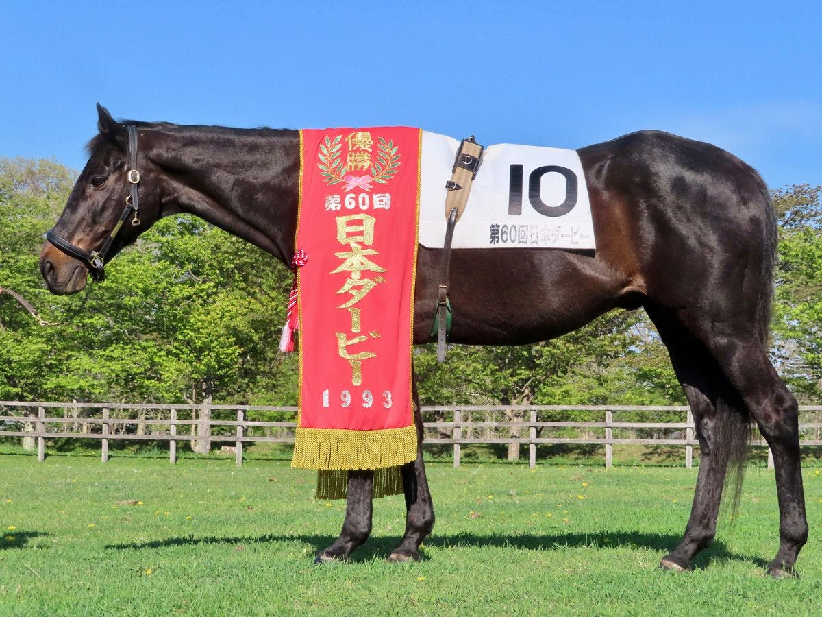 ・【ウイニングチケット】