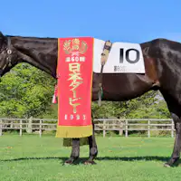 ・【ウイニングチケット】