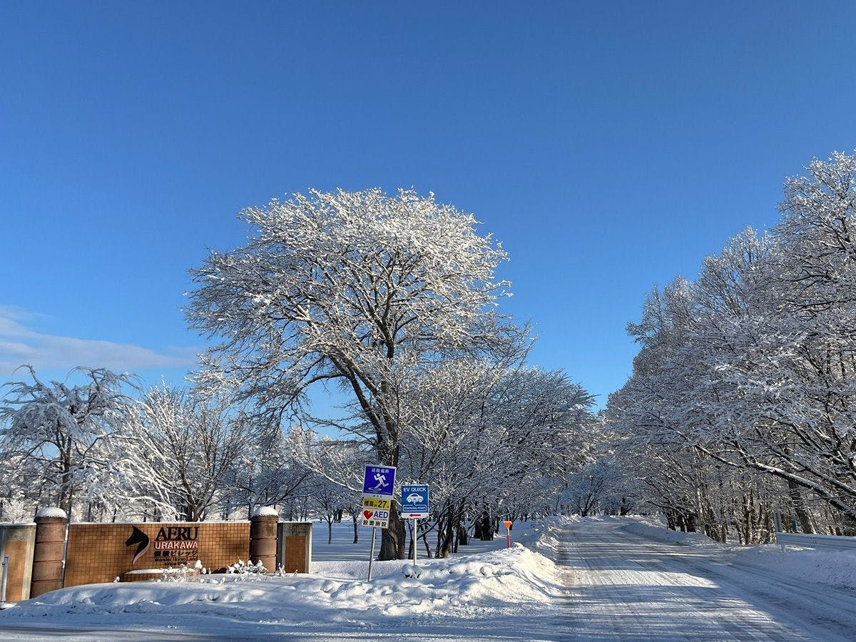 ・【雪の優駿さくらロード】