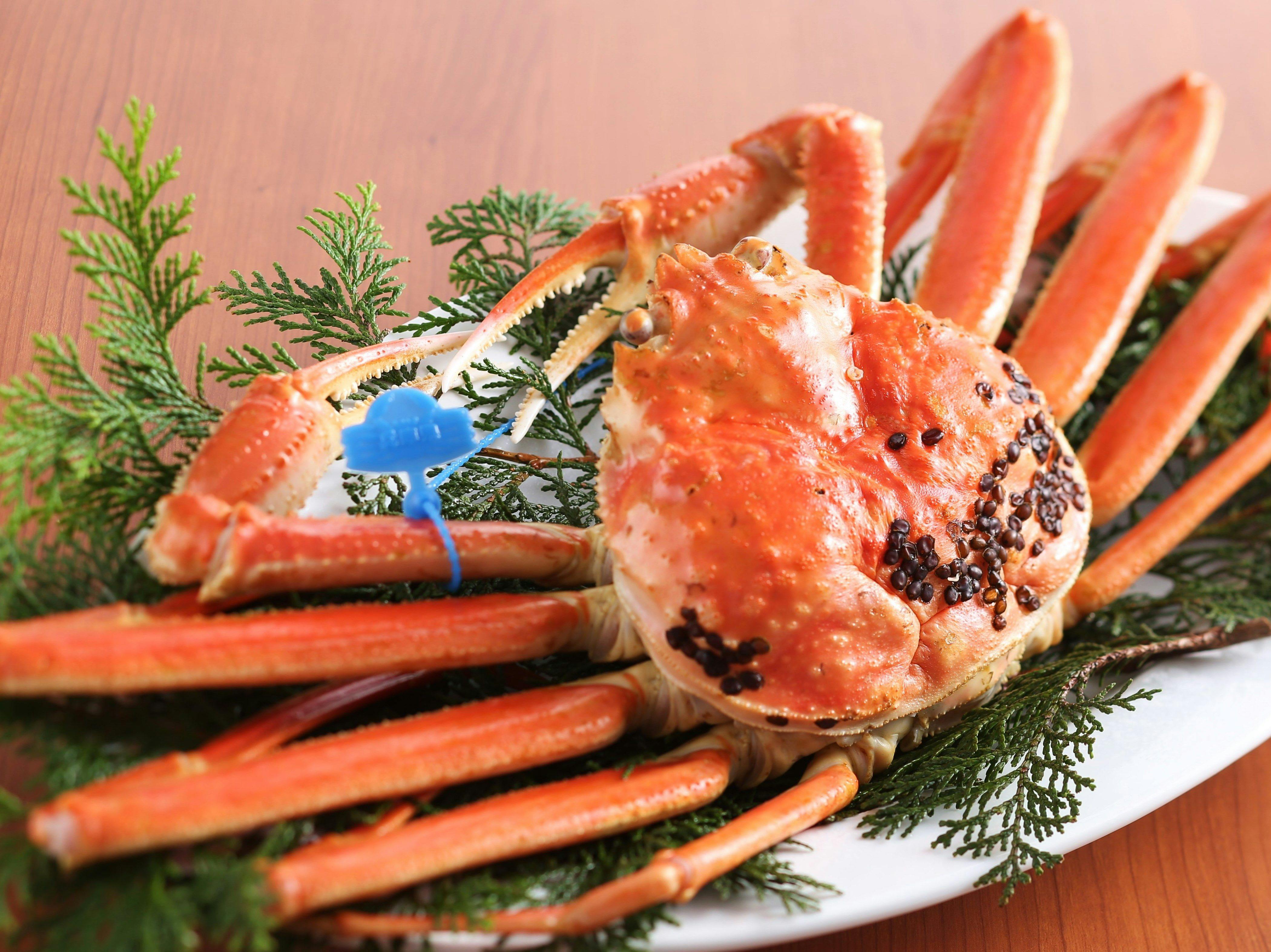 ＜Ricca冬但馬の恵コース＞地物松葉かに1杯相当フルコース＆但馬牛熟成肉【レストランRicca】