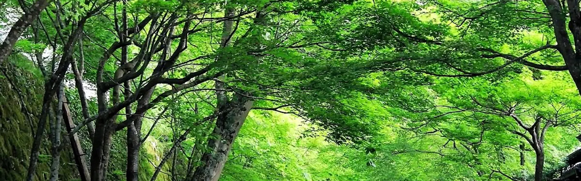 都ホテル 京都八条