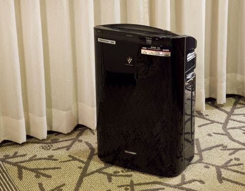 本館スタンダードフロアラージツイン