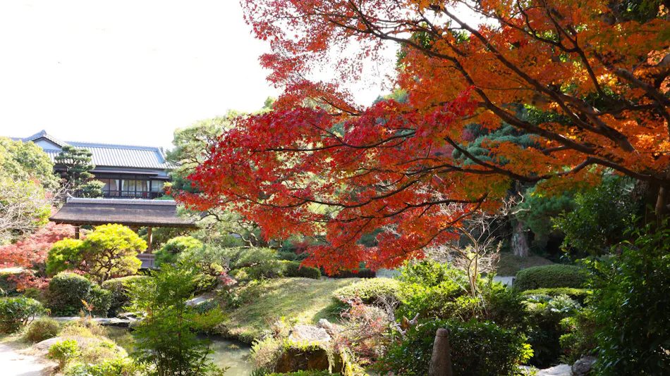 Daimaru Besso