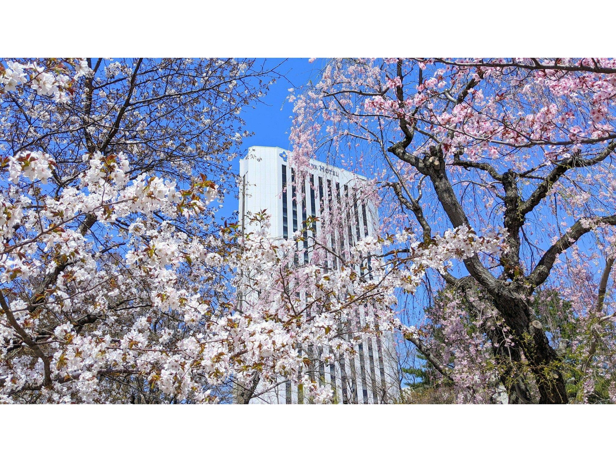プレミアホテル 中島公園 札幌