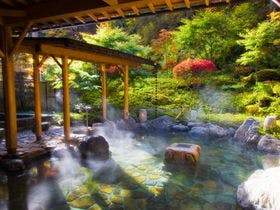 山野草の宿　二人静