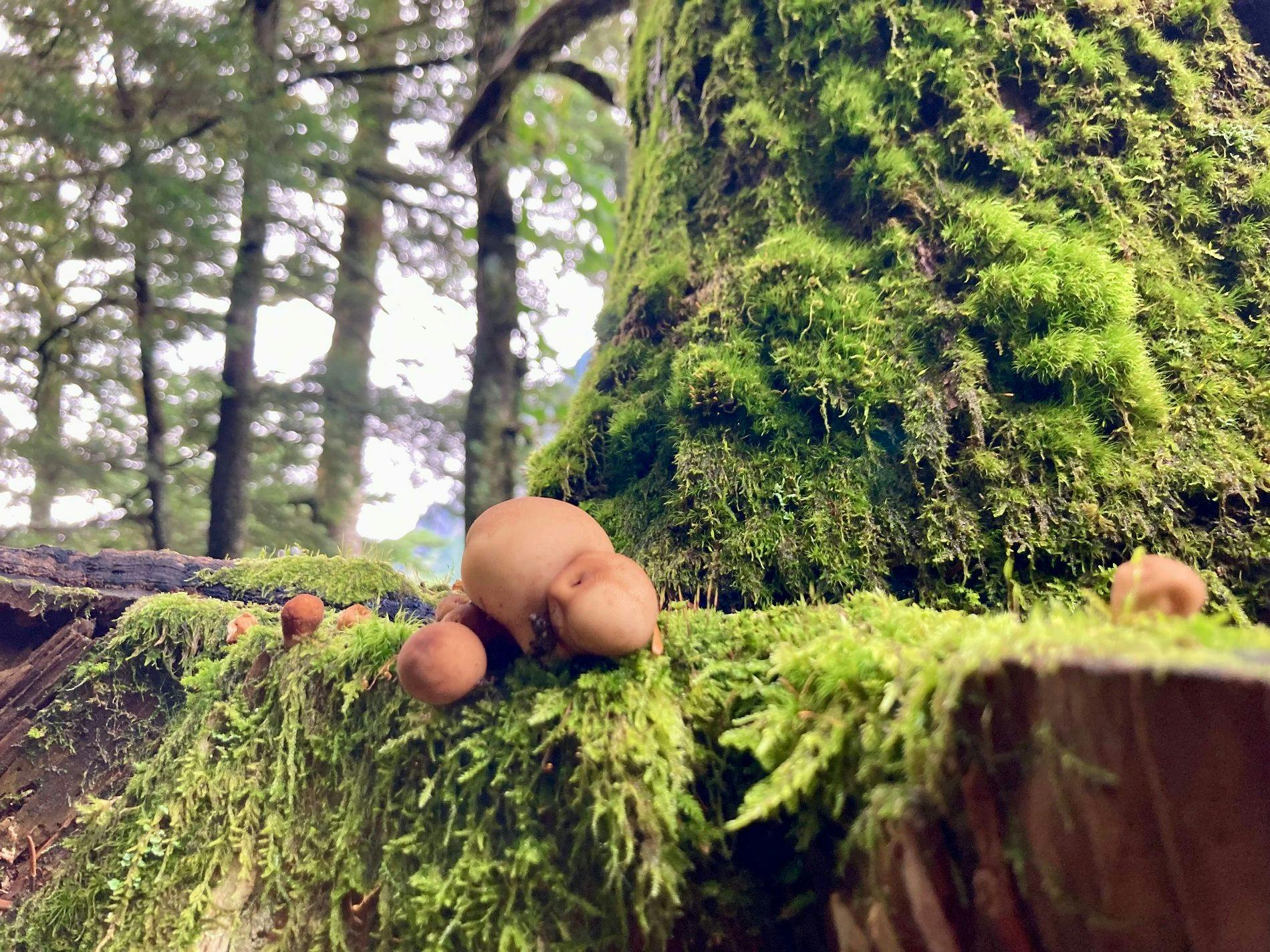 上高地ルミエスタホテル