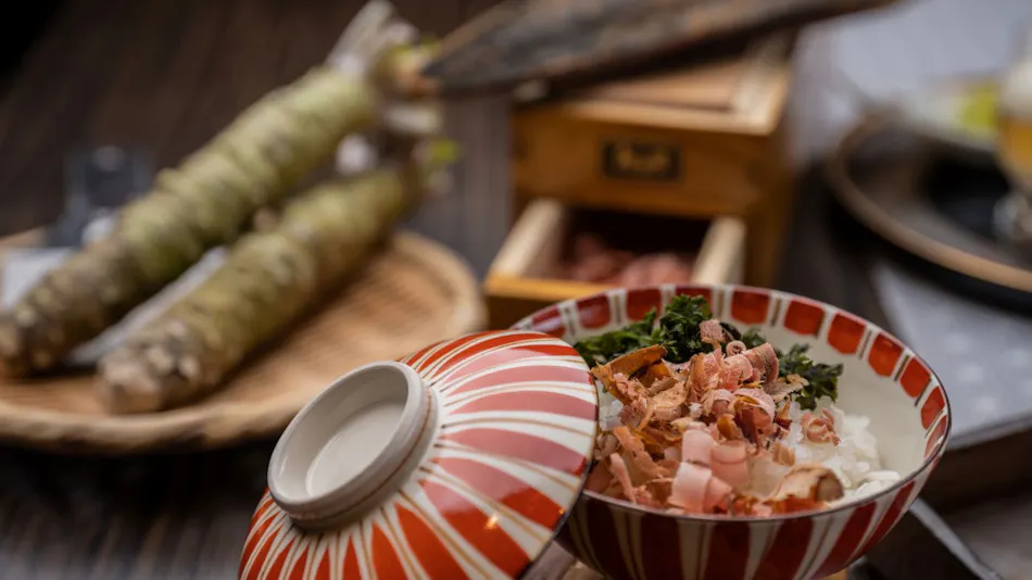 Mizuno Sato Marukyu Ryokan