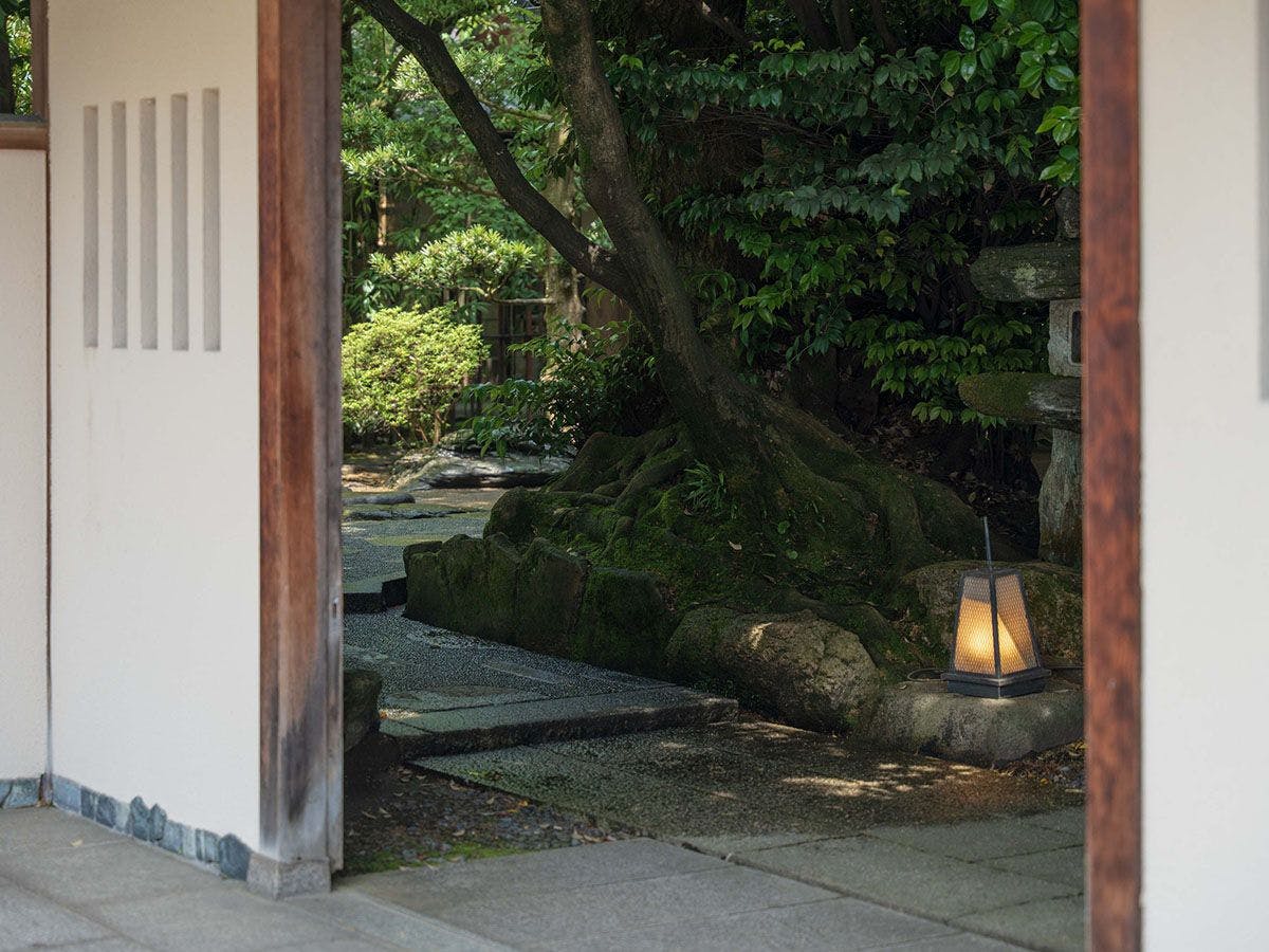 山中温泉 胡蝶
