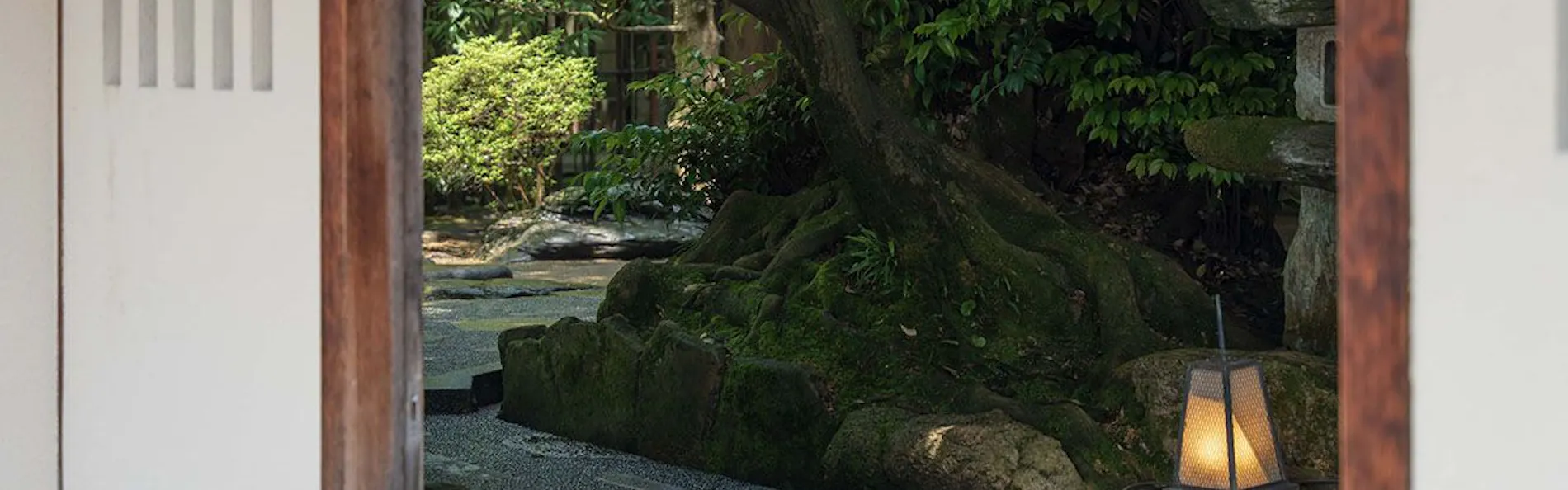 山中温泉 胡蝶