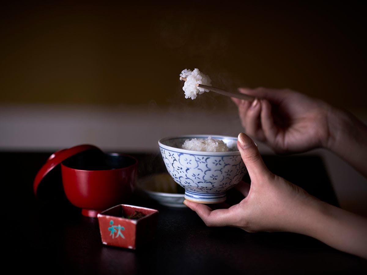 山中温泉 胡蝶