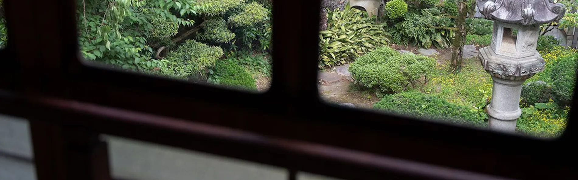 山中温泉 胡蝶