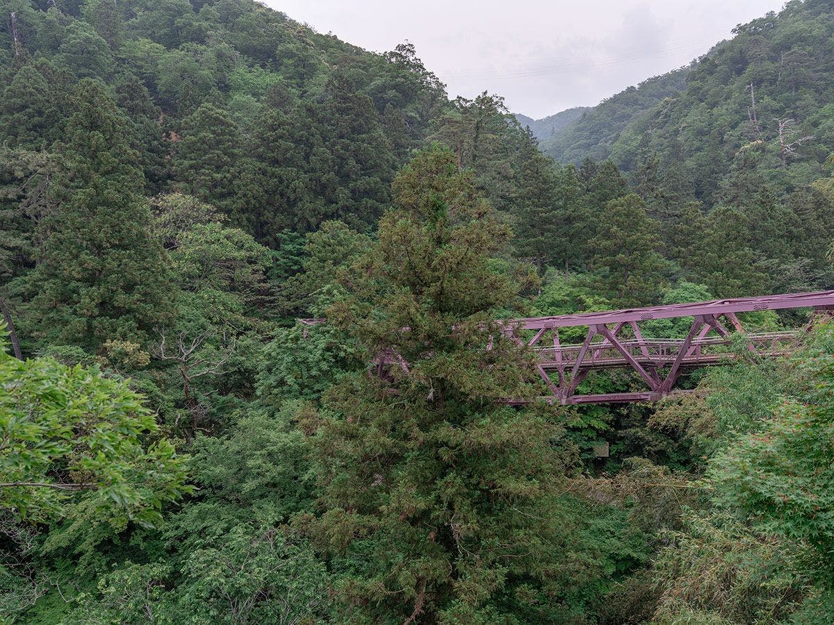 山中温泉 胡蝶