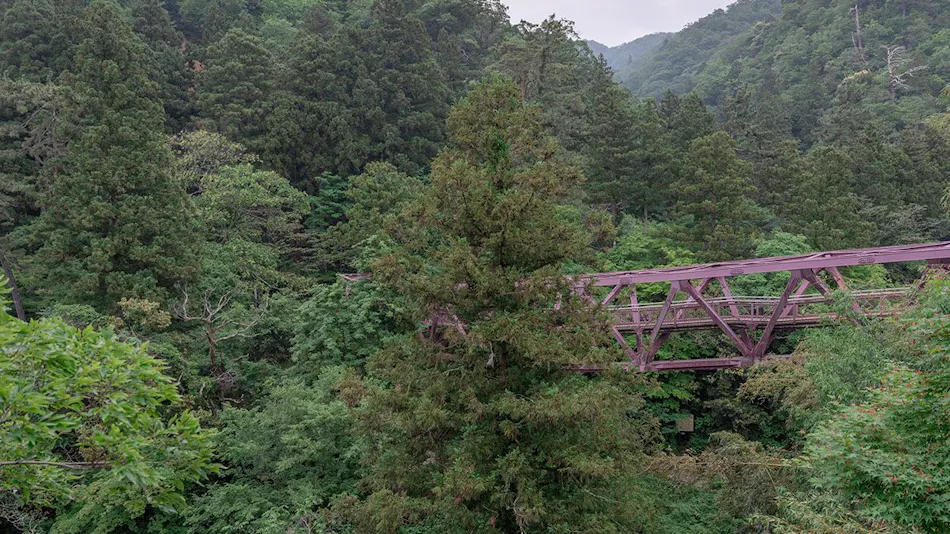 Yamanaka Onsen Kocho