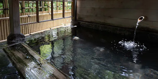 山中温泉 胡蝶