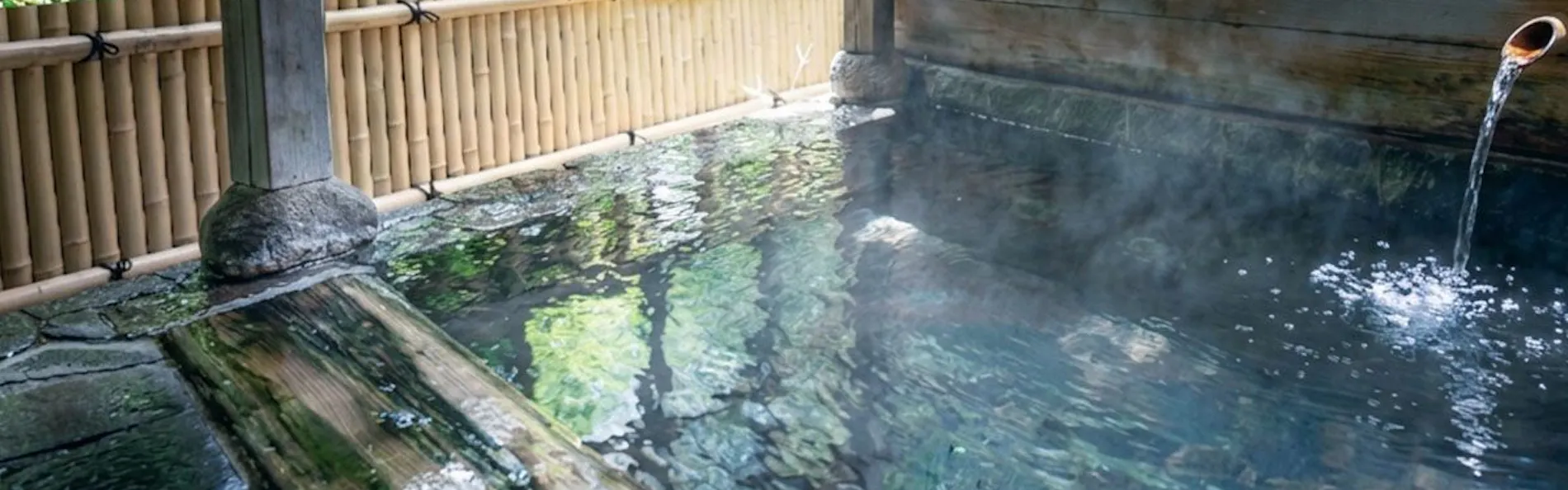 山中温泉 胡蝶