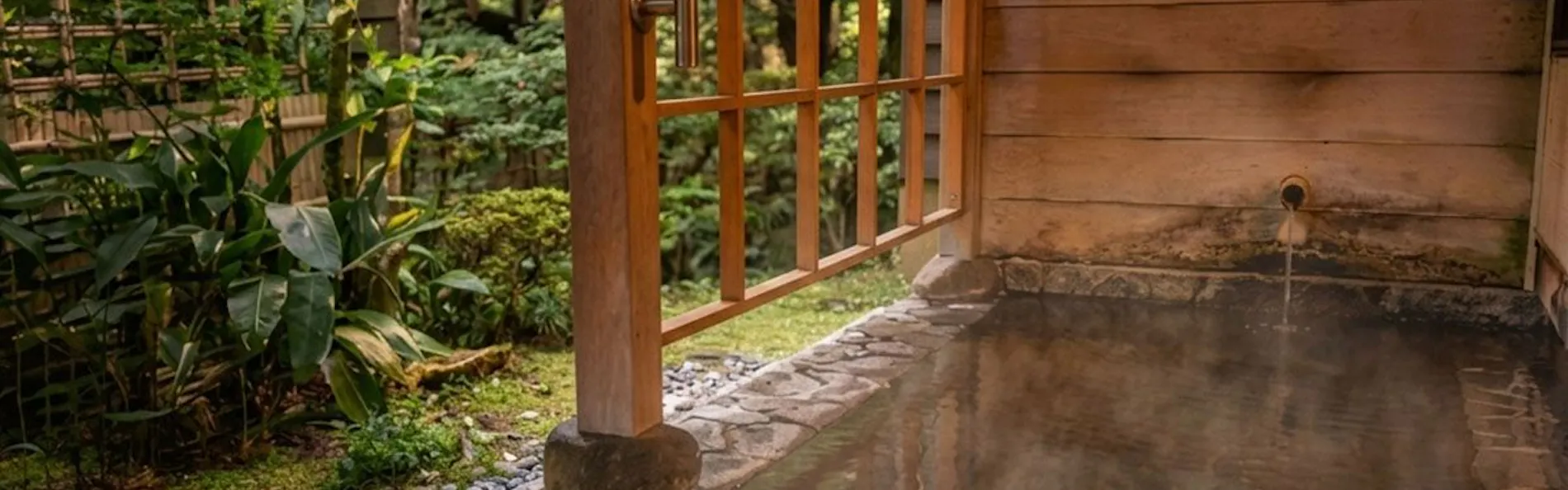 山中温泉 胡蝶