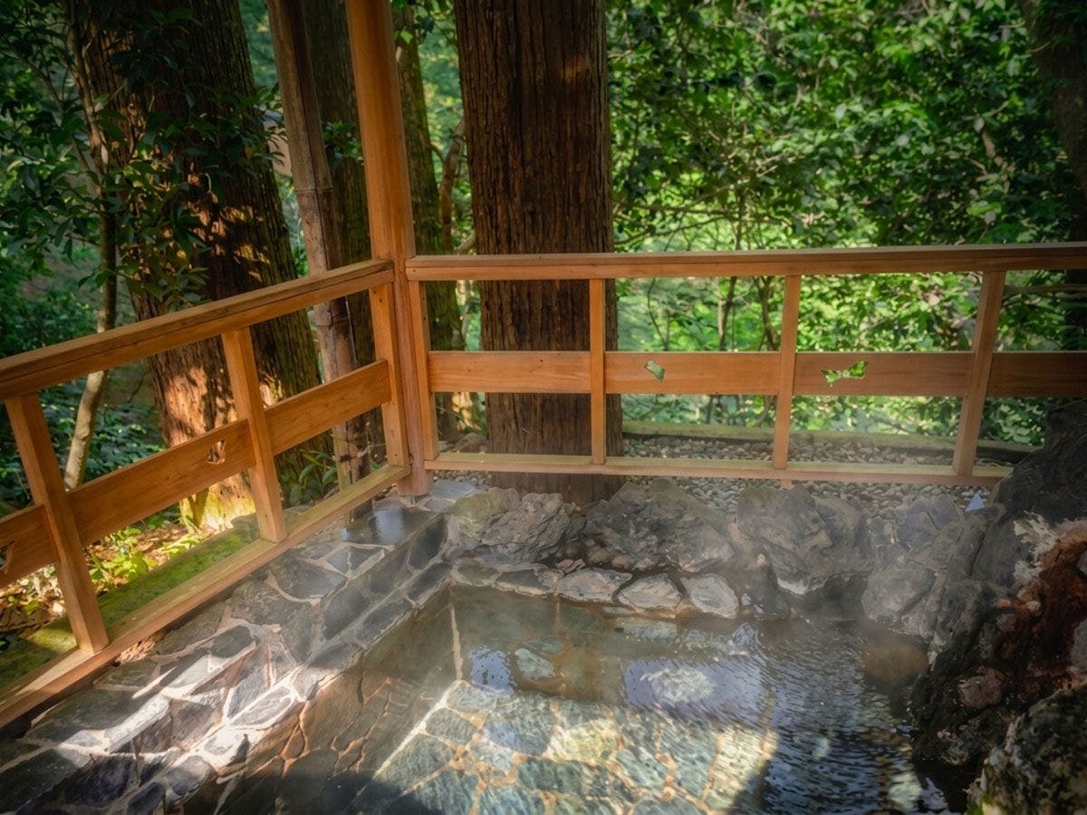山中温泉 胡蝶