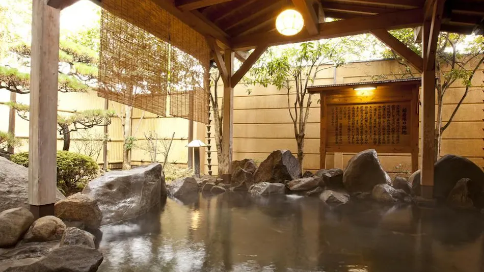 Yamaga Onsen Seiryuso