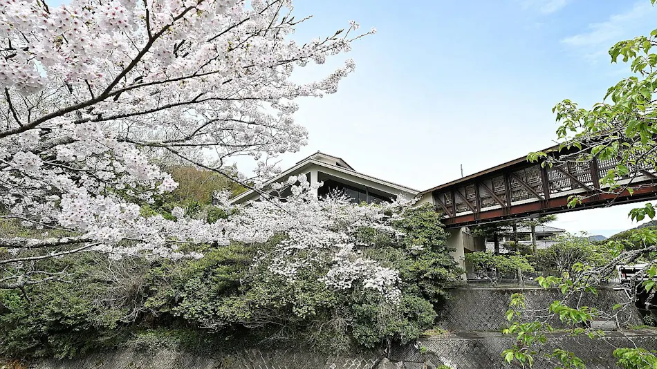 Satoyama Villa Shimoda Central Hotel