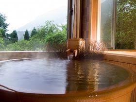 匠の宿 深山桜庵