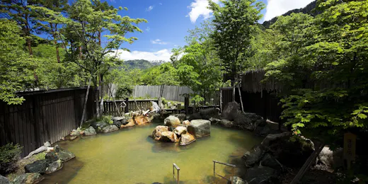 匠の宿 深山桜庵(共立リゾート)