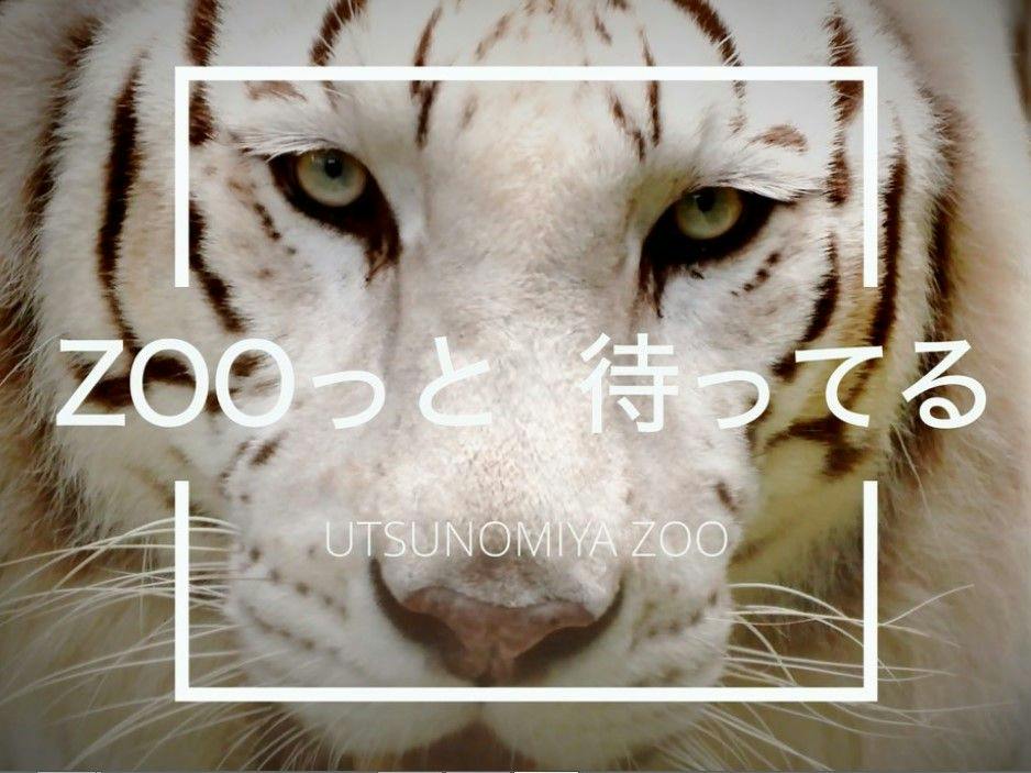 宇都宮動物園入園券付プラン（朝食付）