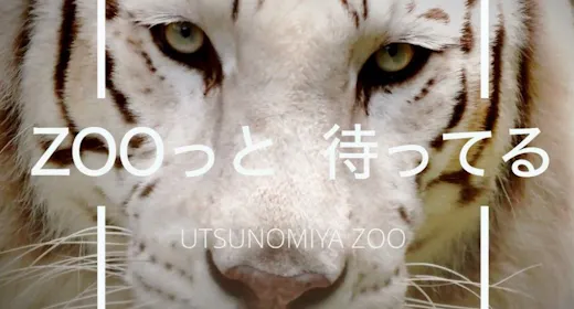 宇都宮動物園入園券付プラン(朝食付)