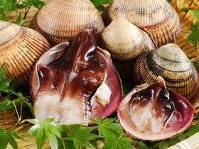 天橋立老舗の宿 文珠荘 3枚目