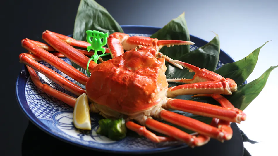 Amanohashidate Wa no Resort Monjusou
