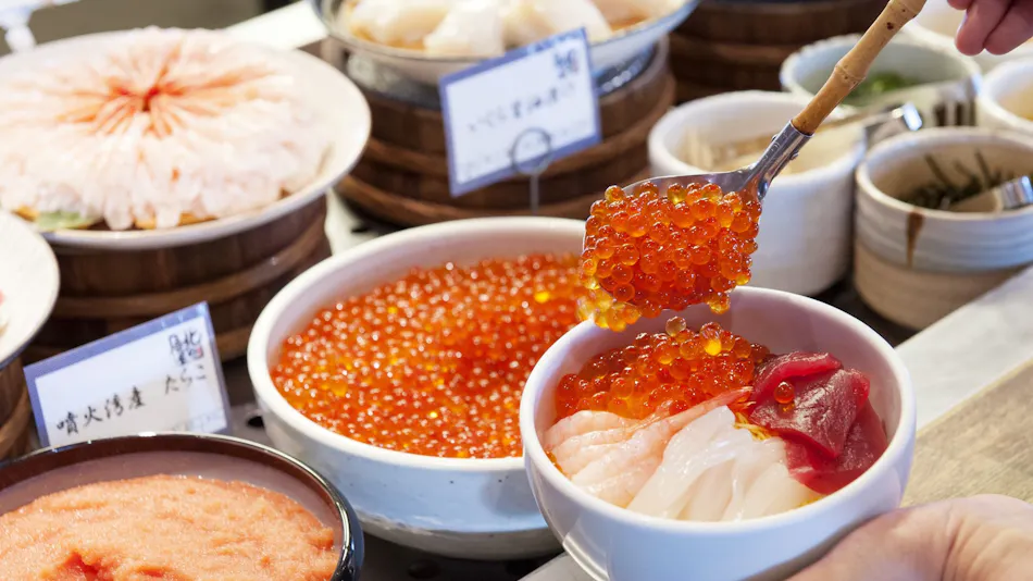 라비스타 하코다테 베이(교리츠 리조트)