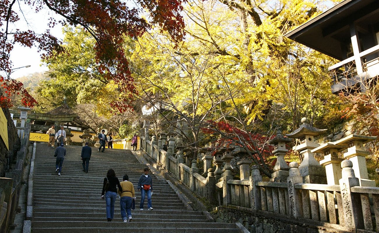 琴平花壇