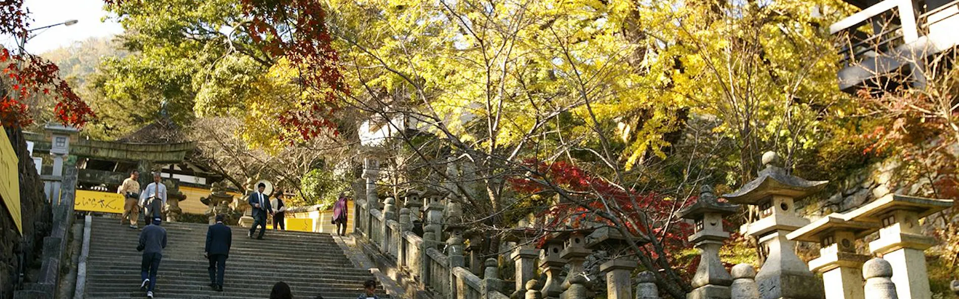 琴平花壇