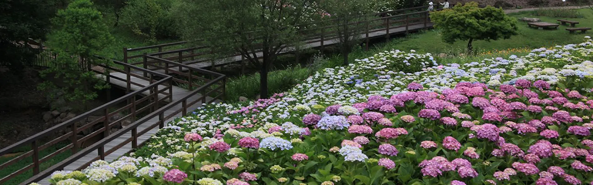 琴平花壇