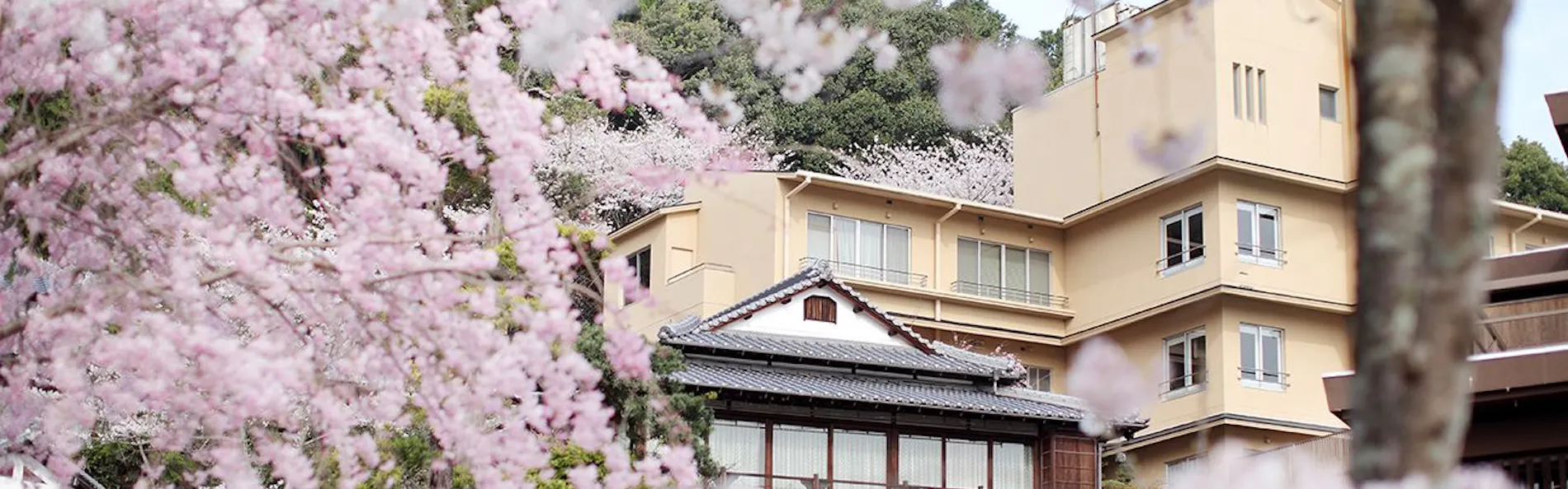 琴平花壇