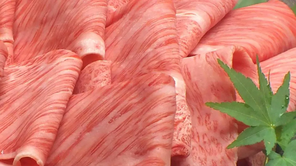 Shourekikan Yoshinoya