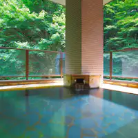 Kolam mandi besar dengan onsen terbuka (untuk wanita)