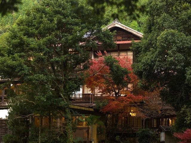 はづ木