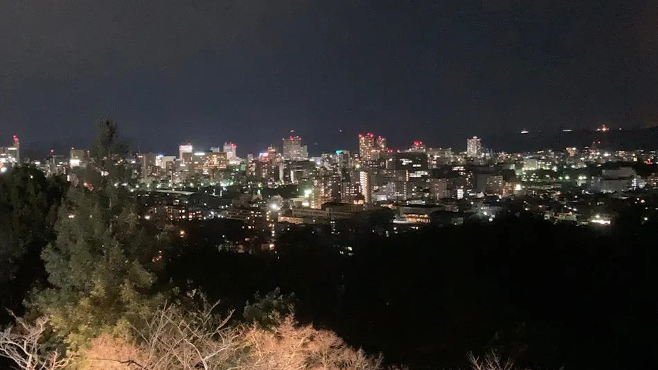 Okayama International Hotel
