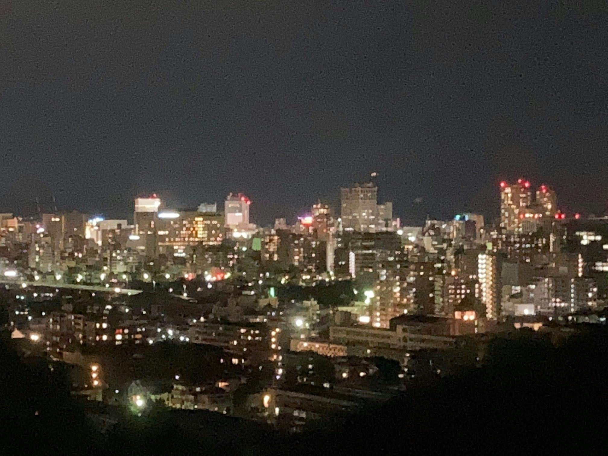 岡山国際ホテル