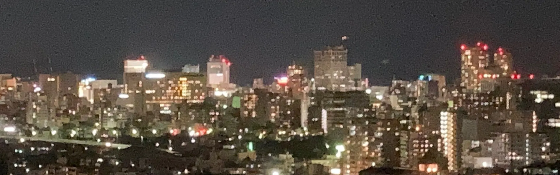 岡山国際ホテル