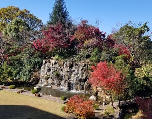 新緑から紅葉の季節へ