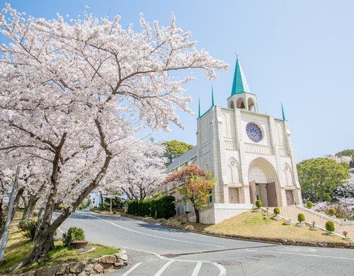 ホテルと桜