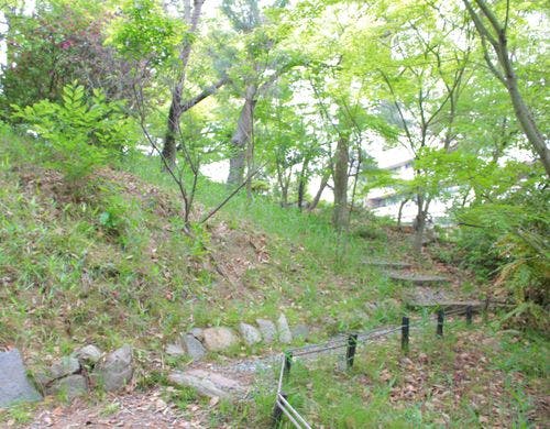 敷地内の遊歩道