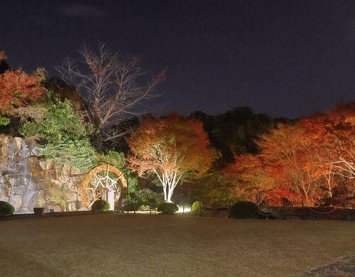 秋　中庭の紅葉と滝
