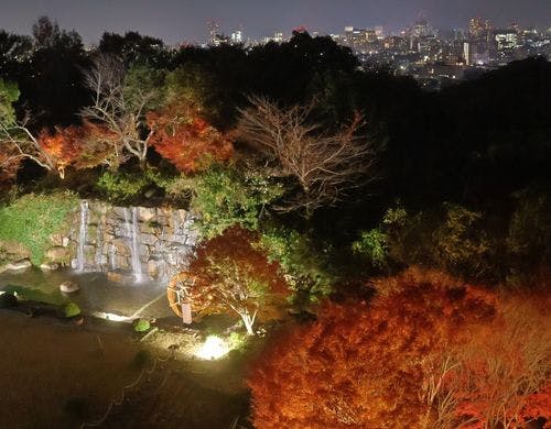 お部屋からの紅葉と夜景
