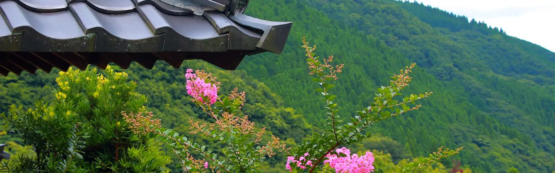 奥ゆのひら花灯り