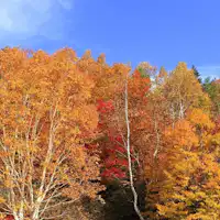 【周辺観光】秋の山田牧場
