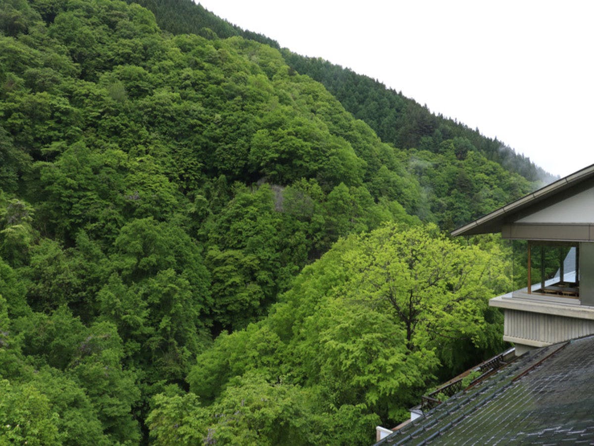 緑霞山宿　藤井荘